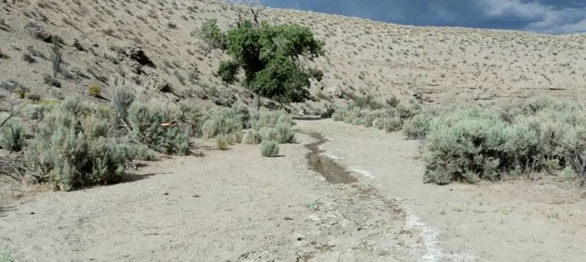 Dry creek near Pyramid Lake